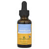 Dandelion, 1 fl oz (30 ml)