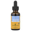 Koriander, 30 ml