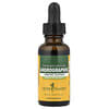 Andrographis, 30 ml (1 fl oz)