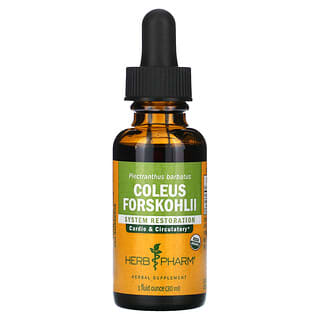 Herb Pharm, Coleus Forskohlii, 1 fl oz (30 ml)