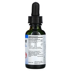 Herbs Etc., ChlorOxygen, Concentrado de clorofila, Sin alcohol, 30 ml (1 oz. Líq.)