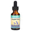 Astragalus Extract, Herbs For Kids, 1 fl oz (30 ml)