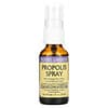 Propolis Spray, 1 fl oz (30 ml)