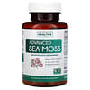 Advanced Sea Moss, Seemoos, 60 Kapseln