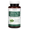 Extrait de thé vert à 98 %, 60 capsules