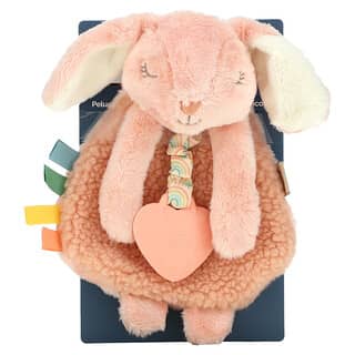 itzy ritzy, Itzy Lovey, Plush Lovey With Silicone Teether, 0+ Months, Ana The Bunny, 1 Teether