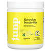 Electrolyte Powder Mix, Lemonade, 14.9 oz (423 g)