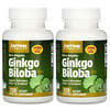 Ginkgo Biloba, 50:1, 60 mg, 2 bouteilles, 120 gélules végétales chacune
