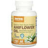 Ahiflower Oil, 750 mg, 60 Vegan Softgels