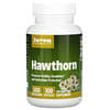 Hawthorn, Weißdorn, 500 mg, 100 Kapseln