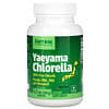 Yaeyama Chlorella Powder, 3.5 oz (100 g)