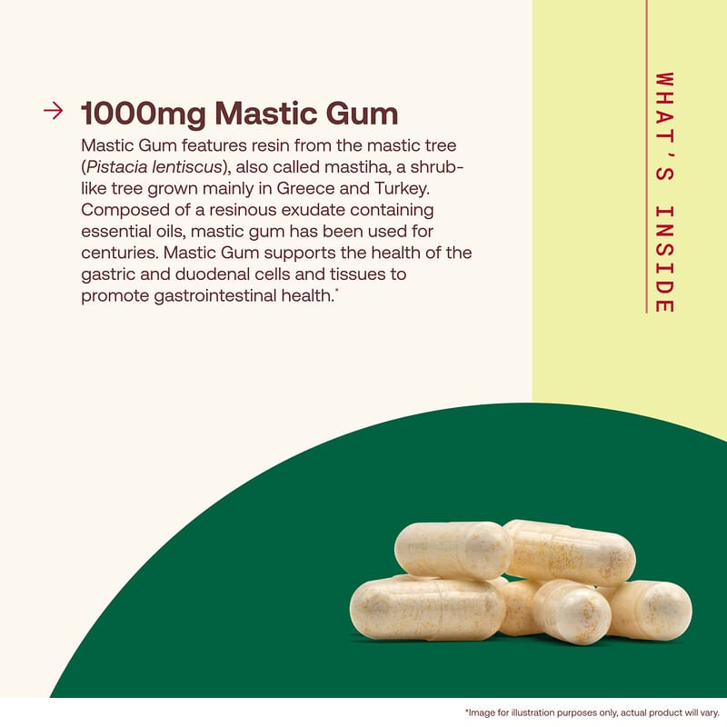 Vegan Sakız Sakızı, 120 Bitkisel Kapsül (Kapsül Başına 500 mg)
