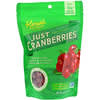 Premium, Just Cranberries, 1.2 oz (34 g)
