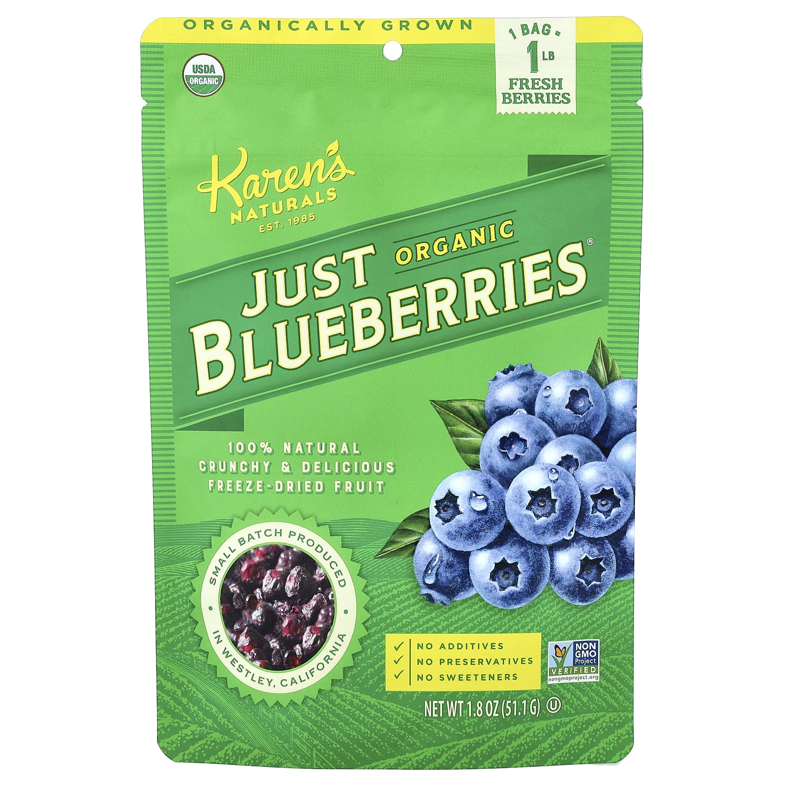 オーガニックJust Blueberry®（ジャストブルーベリー）、51.1g（1.8