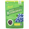 Karen's Naturals, Just Blueberries® ออร์แกนิก ขนาด 1.8 ออนซ์ (51.1 ก.)