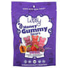 Honey Gummy Bears, Sour Cherry, Strawberry, Blue Raspberry, 6 oz (170 g)