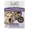 Lazy Dog Cookie, Natural Treats For Dogs, Crisped Blueberry Oat™ z melasą, 396,89 g