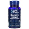 Blueberry Extract and Pomegranate, 60 Vegetarian Capsules