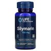 Silymarin, 100 mg, 90 Vegetarian Capsules