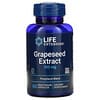 Grapeseed Extract, 100 mg, 60 Vegetarian Capsules