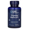 Cognitex Alpha GPC, Cognitex Alpha-GPC für die Gehirngesundheit, 30 Weichkapseln