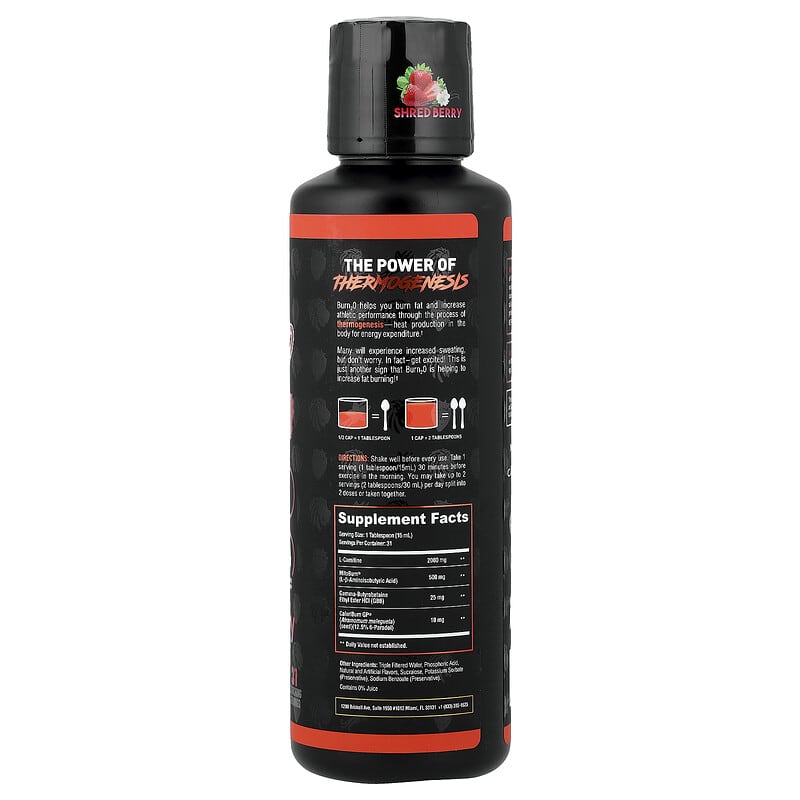 alpha lion burn2o l-carnitine liquid Amazon.com: ALPHA LION Burn2O L-Carnitine Liquid 2000mg, Premium Liquid Fat  Burner & Pre-Workout Supplement for Men & Women - Natural Energy &  Metabolism Booster for Weight Loss