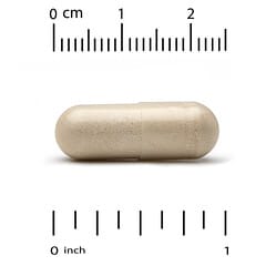 Lake Avenue Nutrition, 세라펩타제, 단백질 분해 효소, 120,000SPU, 베지 캡슐 30정