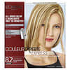 Couleur Experte Express, Color + Highlights, 8.2 Medium Iridescent Blonde, 1 Application