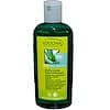 Daily Care, Body Oil, Organic Aloe + Verbena, 6.8 fl oz (200 ml)