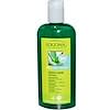Daily Care, Shampoo, Organic Aloe + Verbena, 8.5 fl oz (250 ml)