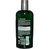 Essential Care Shampoo, Nettles, For All Hair Types, 8.5 fl oz (250 ml)