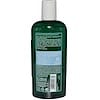 Sensitive Shampoo, Organic Acacia, 8.5 fl oz (250 ml)