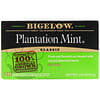 Classic, Plantation Mint, 20 Tea Bags, 1.18 oz (33 g)