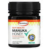 Gut Health, Manuka Honey, 400 MGO, 8.8 oz (250 g)