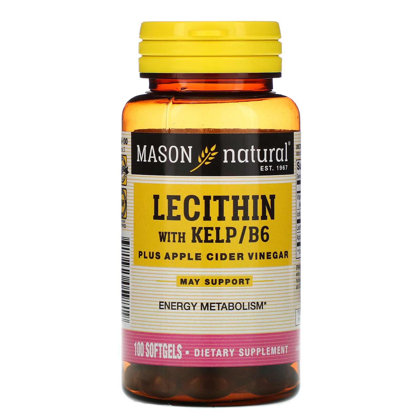 Mason Natural, Lecithin With Kelp/B6 Plus Apple Cider Vinegar, 100 Softgels