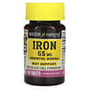 Iron, 65 mg, 100 Tablets