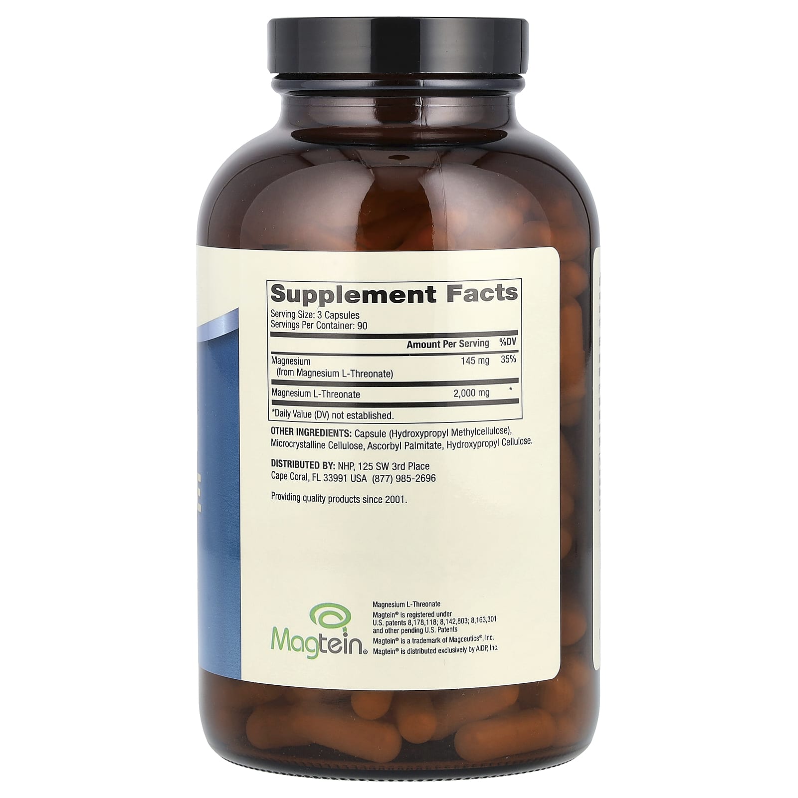 has been shown to effectively raise your brain’s magnesium levels