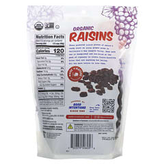 Made in Nature, Organic Raisins, 12 oz (340 g)