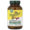 Sea Moss Complex, 120 Capsules