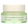Phyto Plump Collagen, קרם לילה, 50 מ“ל (1.69 אונקיות נוזל)