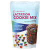 Mistura de Cookies para Lactantes, Arco-íris de Chocolate e Aveia, 454 g (16 oz)