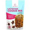 Lactation Cookie Mix, Oatmeal Chocolate Chip, 16 oz ( 454 g)