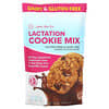 Lactation Cookie Mix , Oatmeal Chocolate Chip, 16 oz (454 g)
