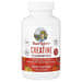 Maryruth S Creatine Gummies Tangerine Citrus 90 Gummies