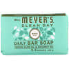 Daily Bar Soap, Basil Scent, 5.3 oz (150 g)