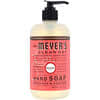 Hand Soap, Rhubarb Scent, 12.5 fl oz (370 ml)