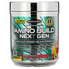 Amino Build Next Gen, Fruit Punch, 10.00 oz (284 g)