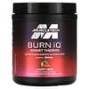 Burn iQ, Smart Thermo, Sweet Heat, 235 g (8,29 oz)