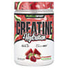 MuscleSport, Creatine + Hydratatie, Aardbei Watermeloen, 10,58 oz (300 g)