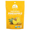 Organic Dried Pineapple, 2 oz (56 g)